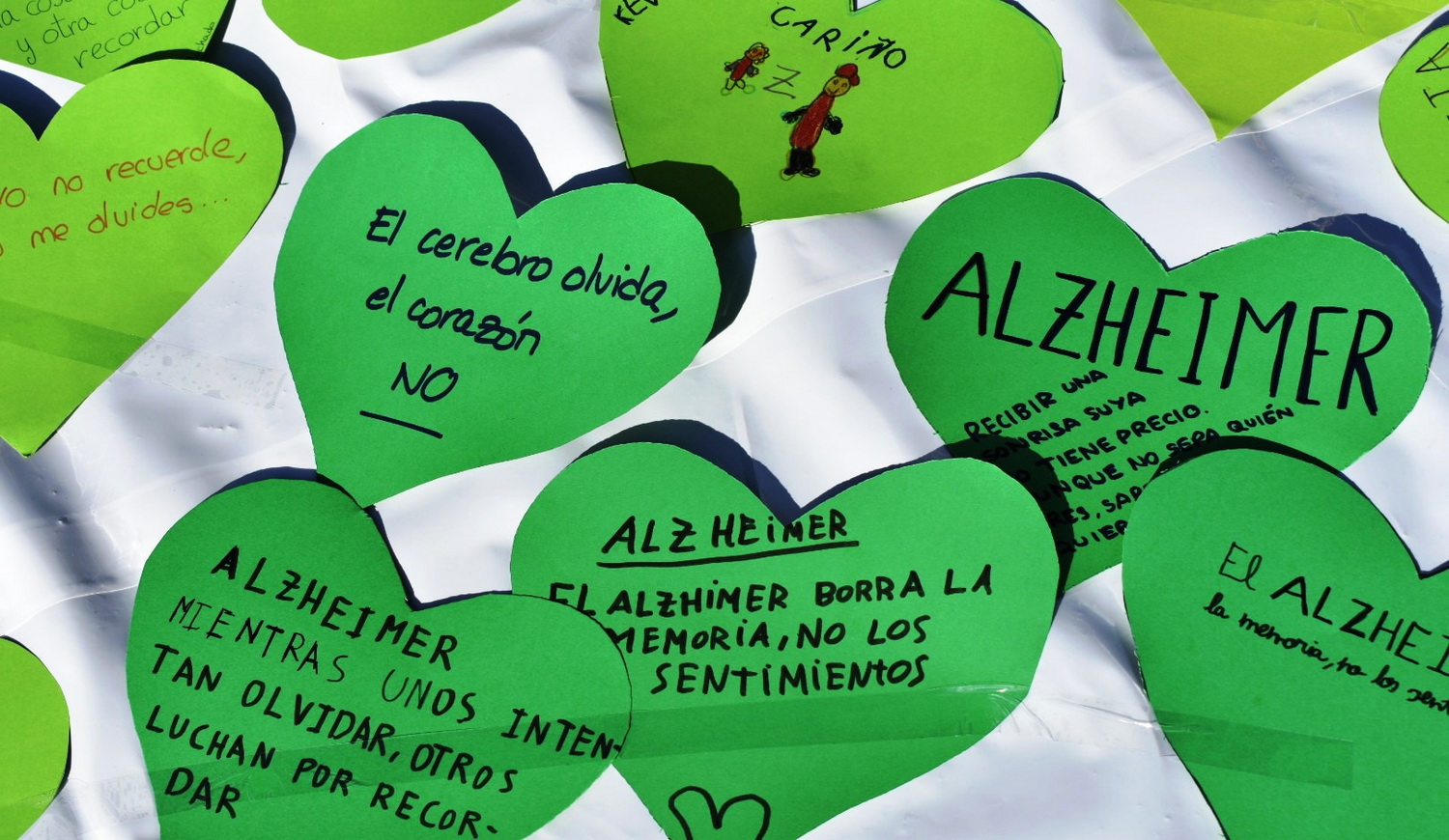 AFAVIDA busca nuevos asociados para poder mantener recursos y servicios.